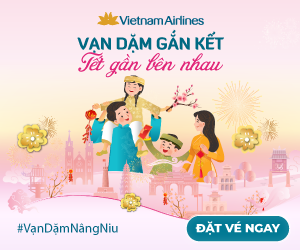 VietNam Airline