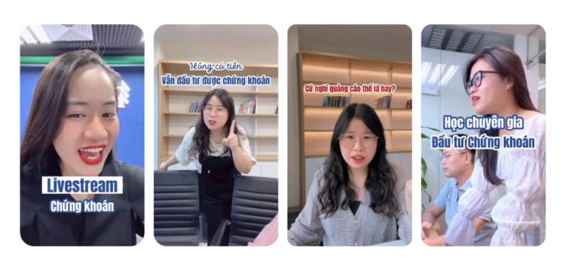 PineTree-Securities-3